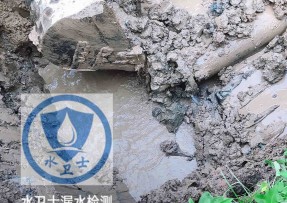 岭东区水管漏水检测公司5